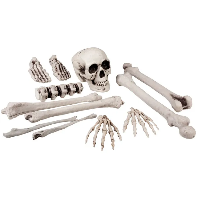 das-kost-mland-totenkopf-knochen-set-12-tlg-skelett-40-cm image 1