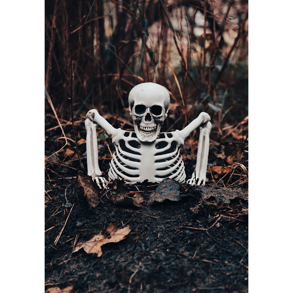 das-kost-mland-dekorationen-skelett-groundbreaker-20-cm-halloween image 5