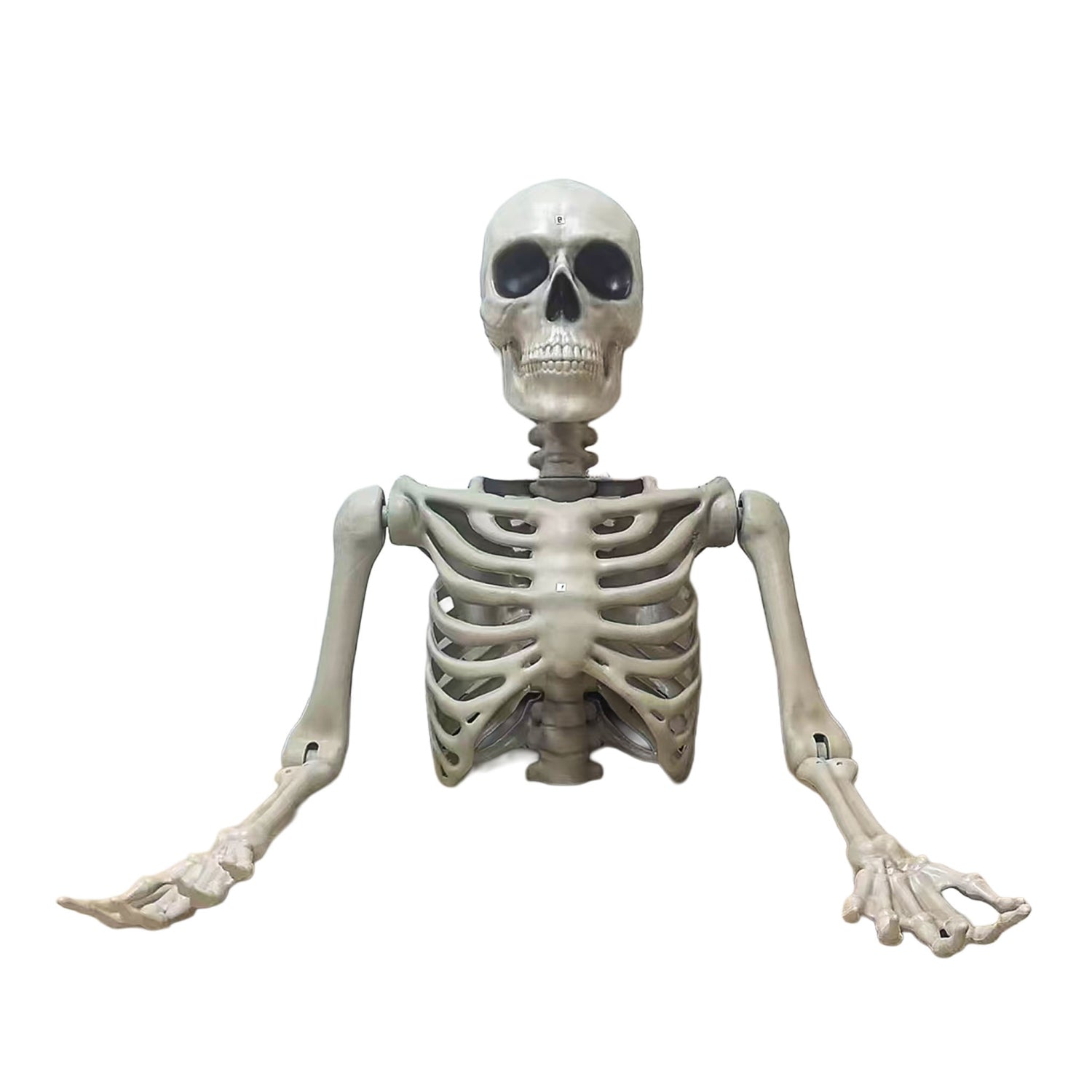 das-kost-mland-halloween-figur-skelett-torso-tom-104-cm image 1