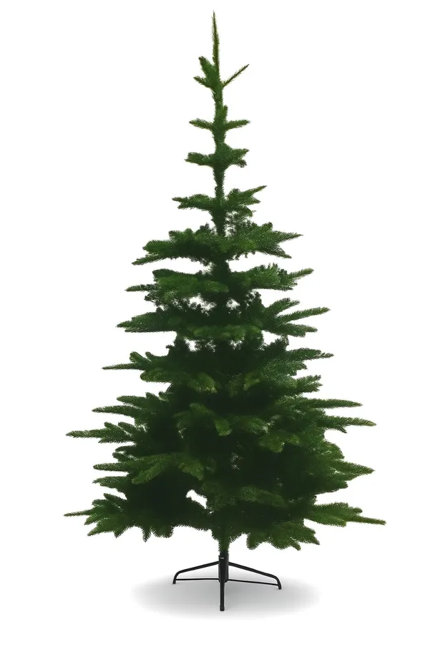 riffelmacher-dekorationen-edeltanne-180cm-553-tips-tannenbaum image 1