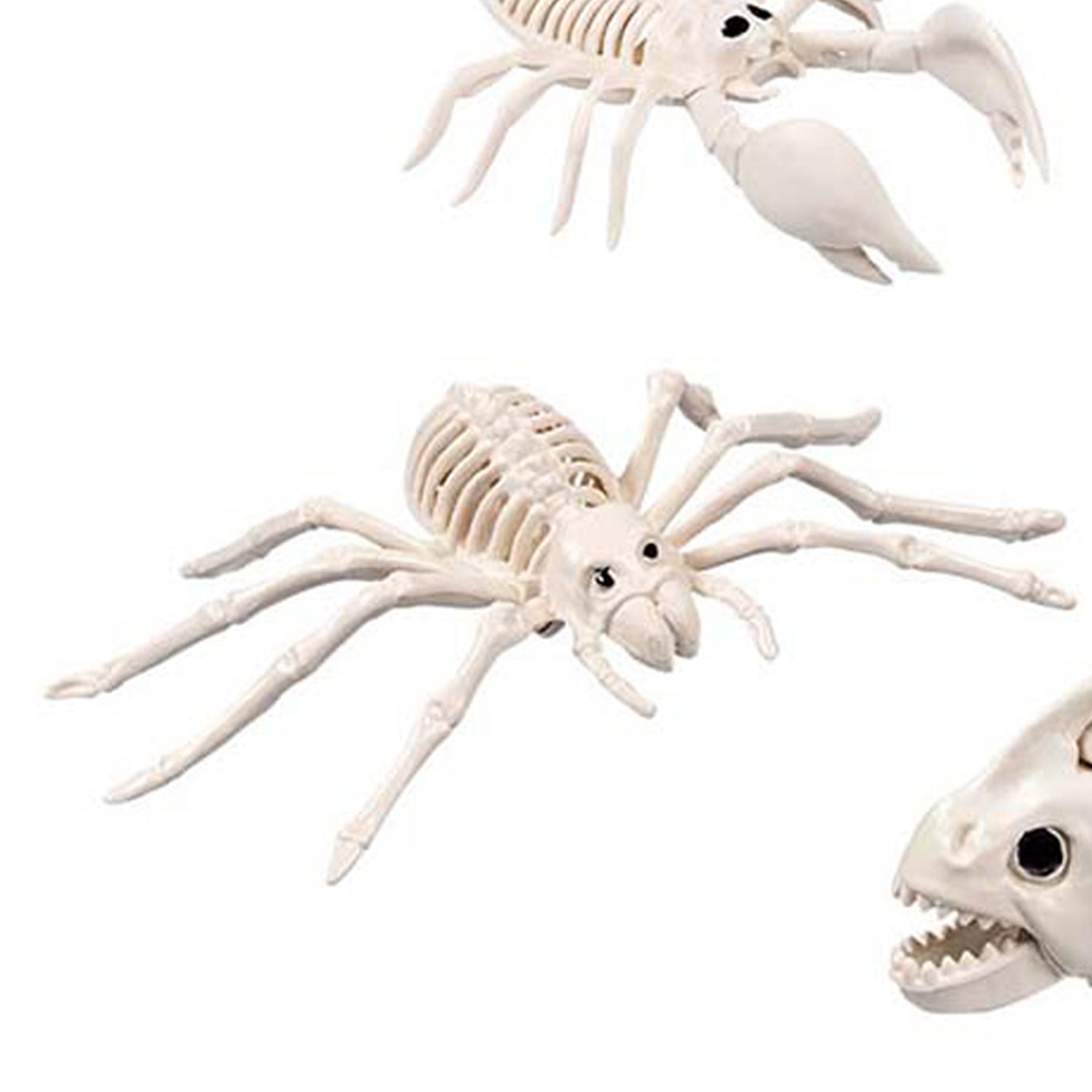 skelett-tiere-5er-set-beige-halloween-deko-kunststoff image 5