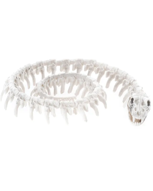 das-kost-mland-dekorationen-schlangen-skelett-wei-20-cm-halloween image 1
