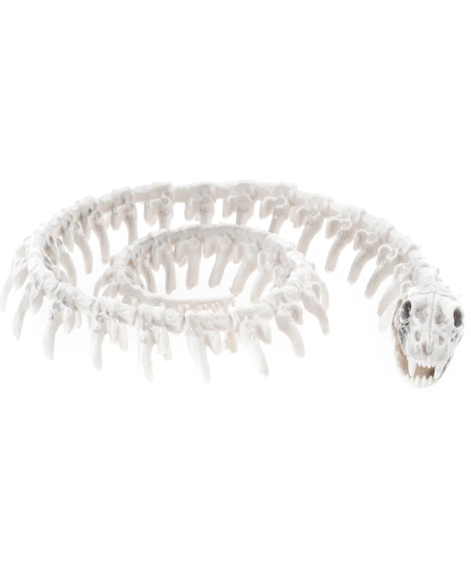 das-kost-mland-dekorationen-schlangen-skelett-wei-20-cm-halloween image 1
