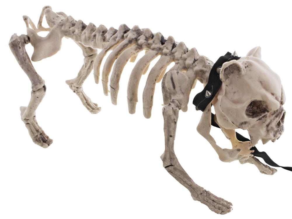 das-kost-mland-skelett-hund-halloween-deko-40x20cm image 3