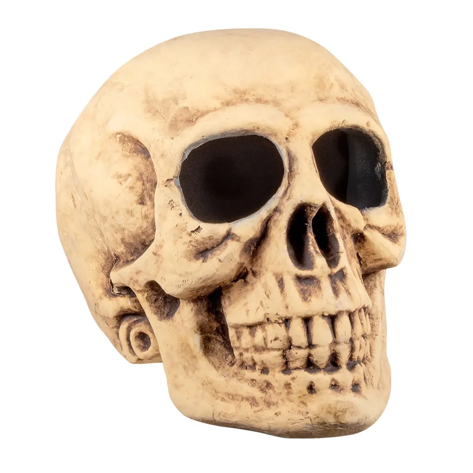 das-kost-mland-master-brain-totenkopf-deko-40x35cm-halloween image 1