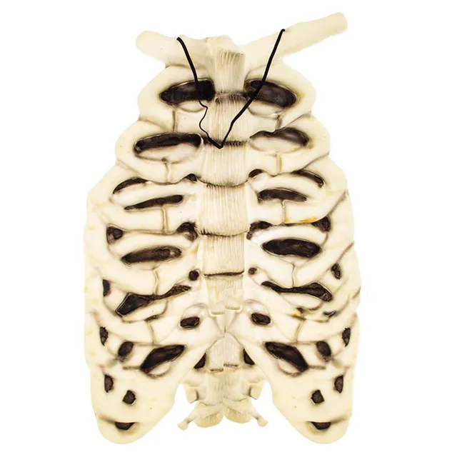 das-kost-mland-brustkorb-k-rperteil-h-ngedeko-beige-halloween image 1