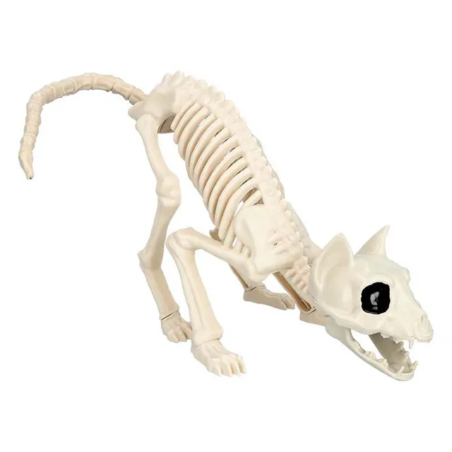 das-kost-mland-skelett-katze-halloween-deko-51-cm image 1