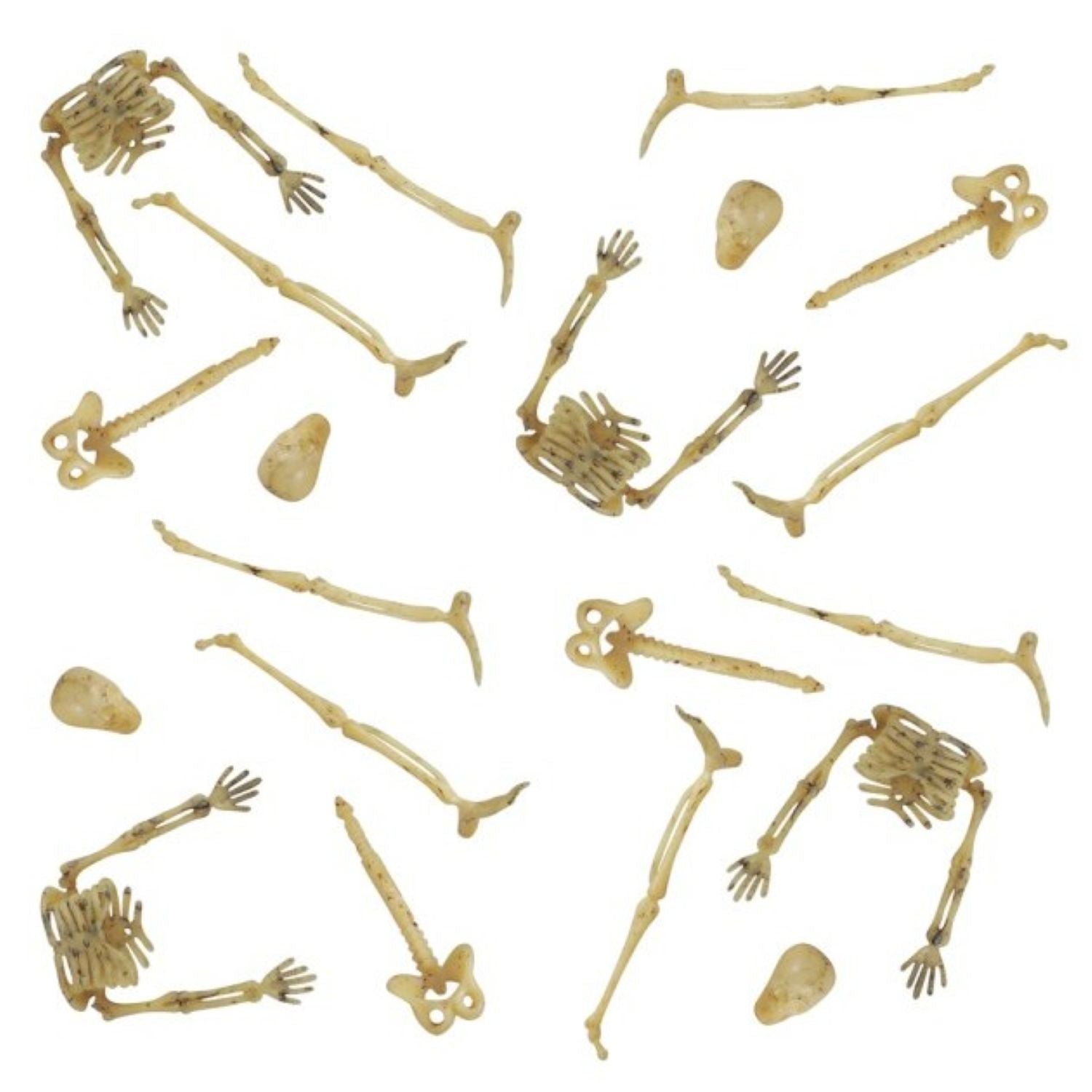 das-kost-mland-mini-skelettteile-20-stk-knochenwei-9-cm image 1