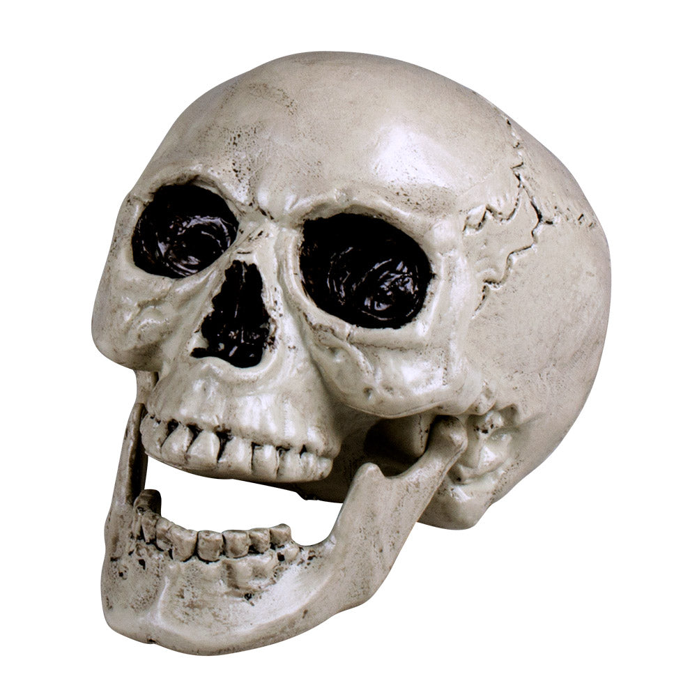 das-kost-mland-dekorationen-maxilla-totenkopf-sch-del-beweglich image 2