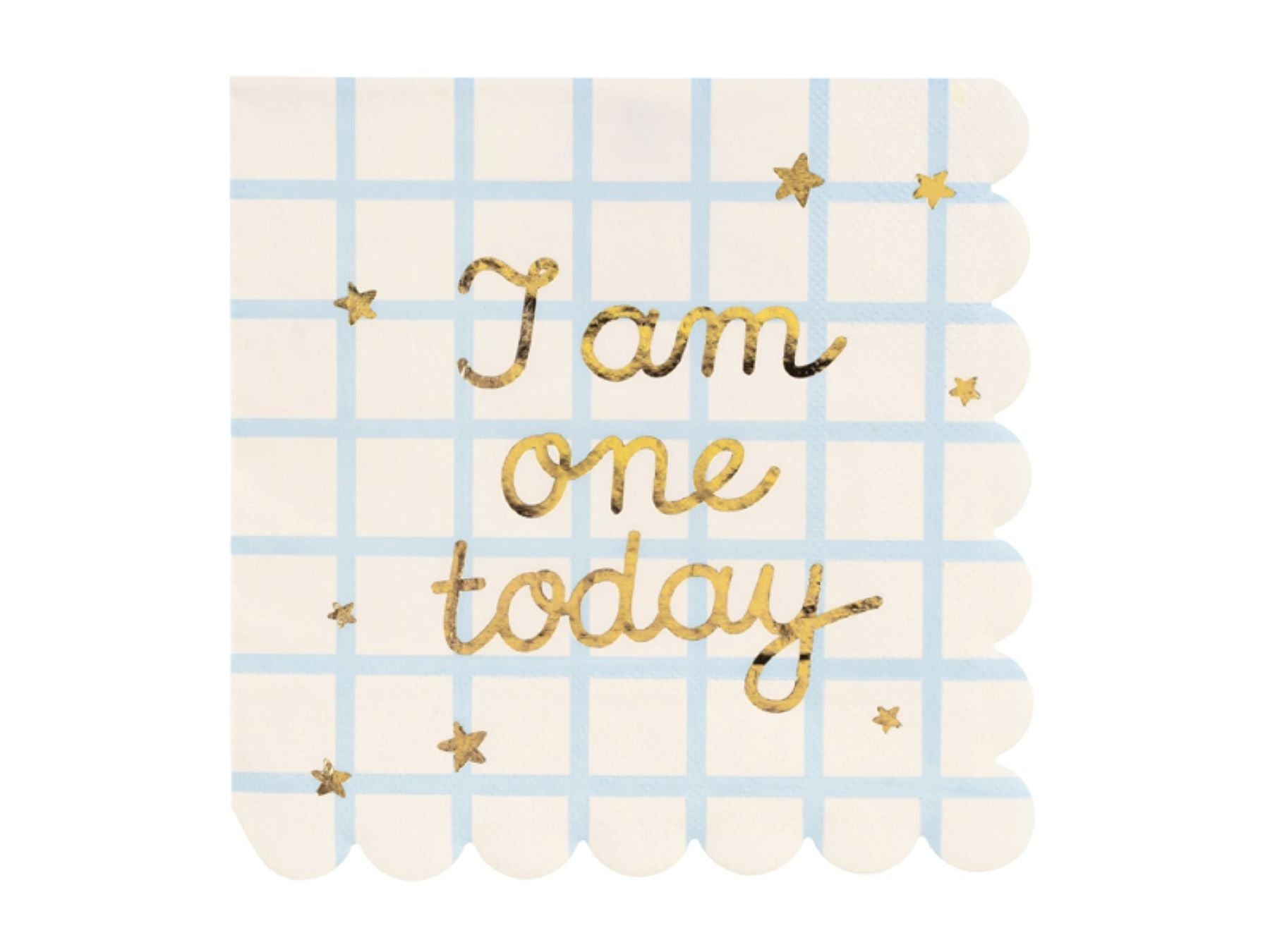 das-kost-mland-servietten-i-am-one-today-blau-12-stk-33x33cm image 1