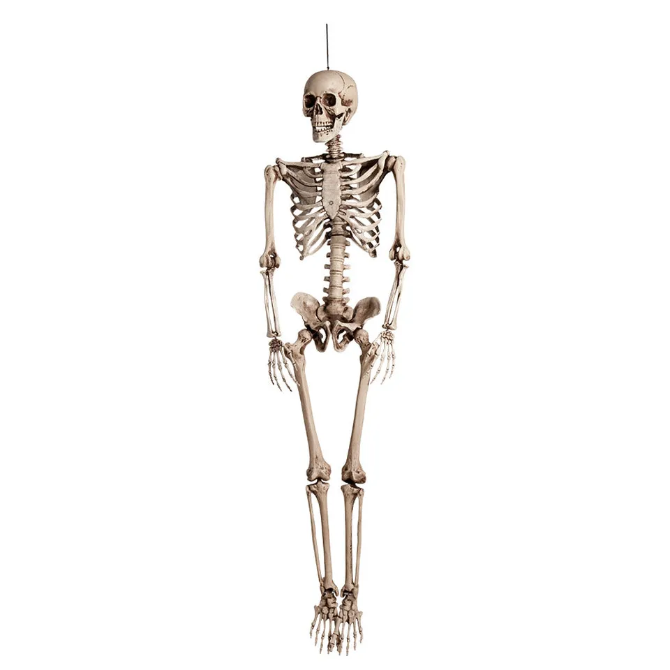 halloween-skelett-160-cm-lebensgro-grusel-dekofigur image 1