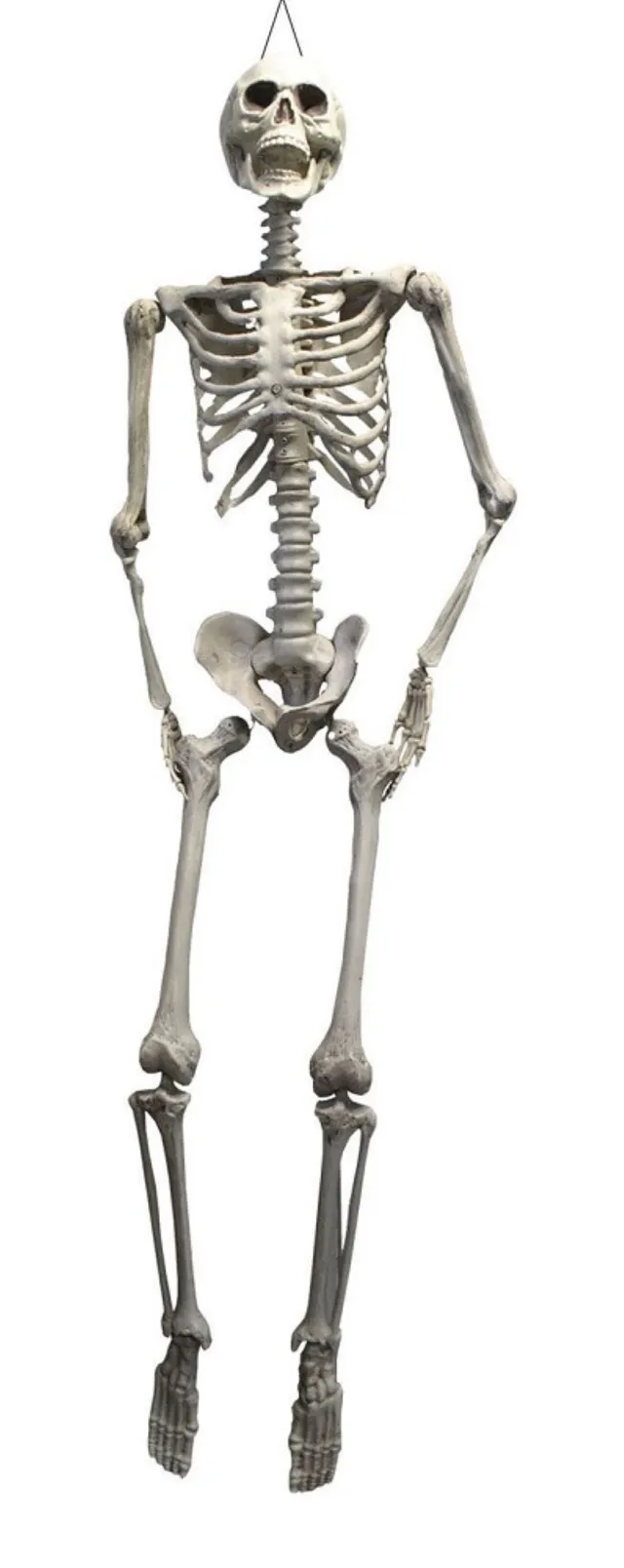 xxl-skelett-otto-h-ngefigur-175cm-wei-beweglich-halloween image 1