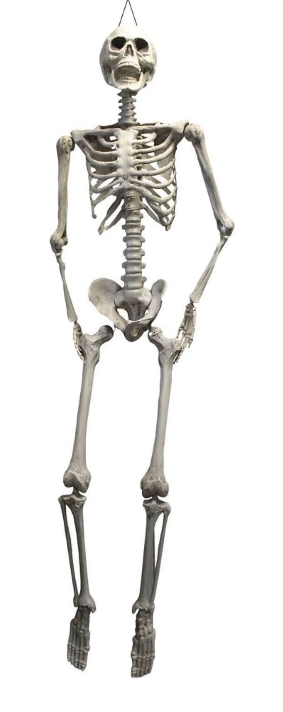 xxl-skelett-otto-h-ngefigur-175cm-wei-beweglich-halloween image 1