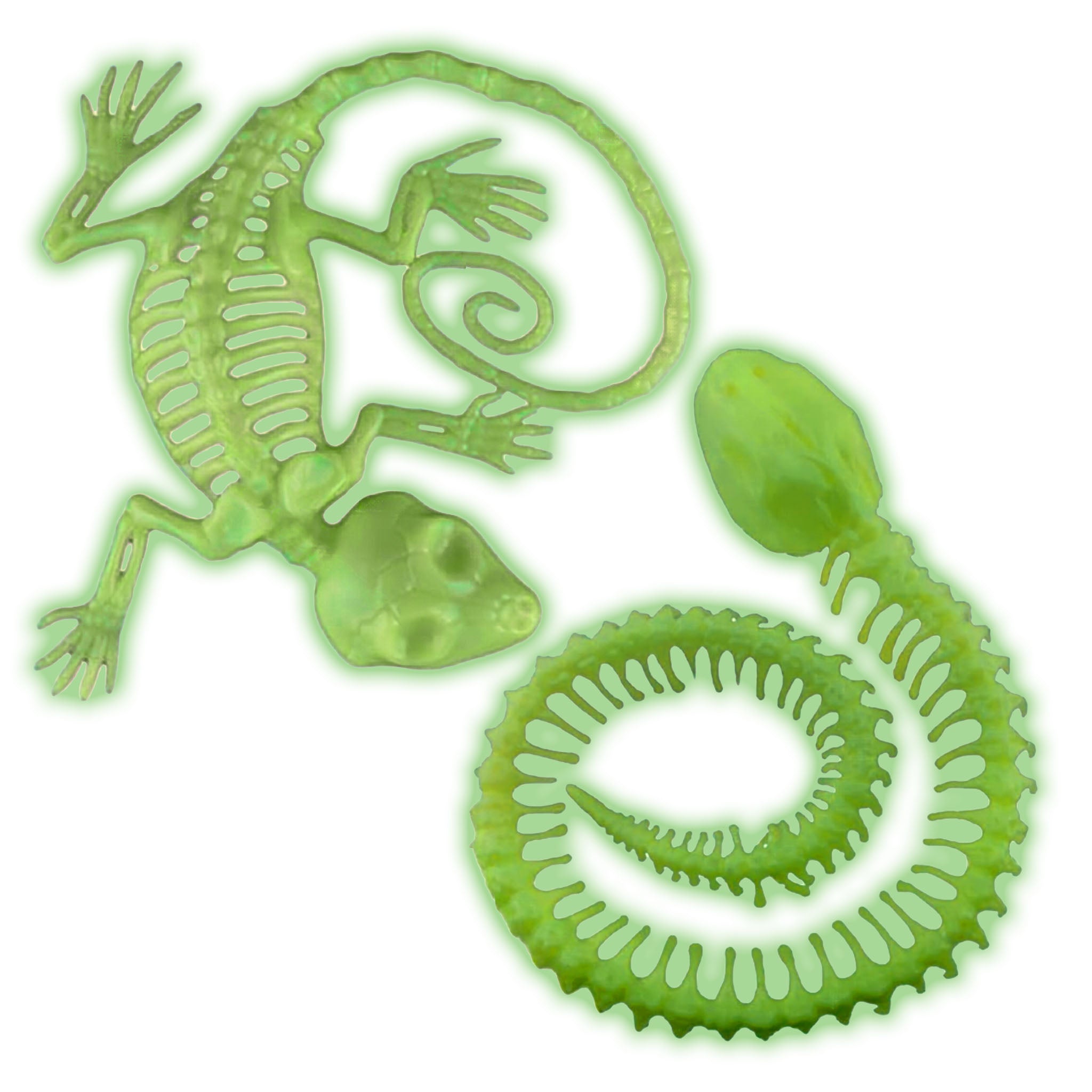 das-kost-mland-tier-skelett-gr-n-glow-in-the-dark-halloween image 1