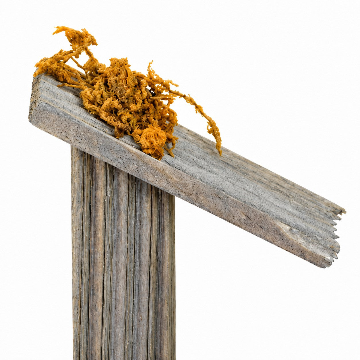 das-kost-mland-mini-holz-lagerfeuer-led-8-5-cm-krippe image 5