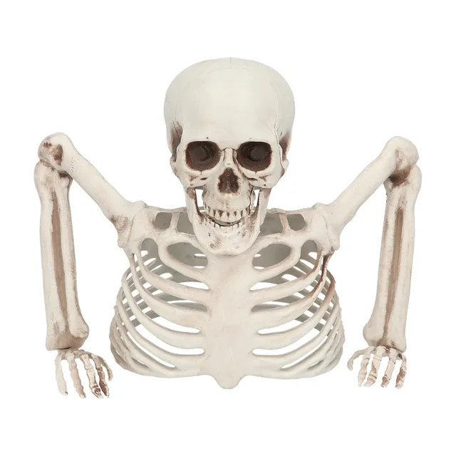das-kost-mland-dekorationen-skelett-groundbreaker-20-cm-halloween image 1