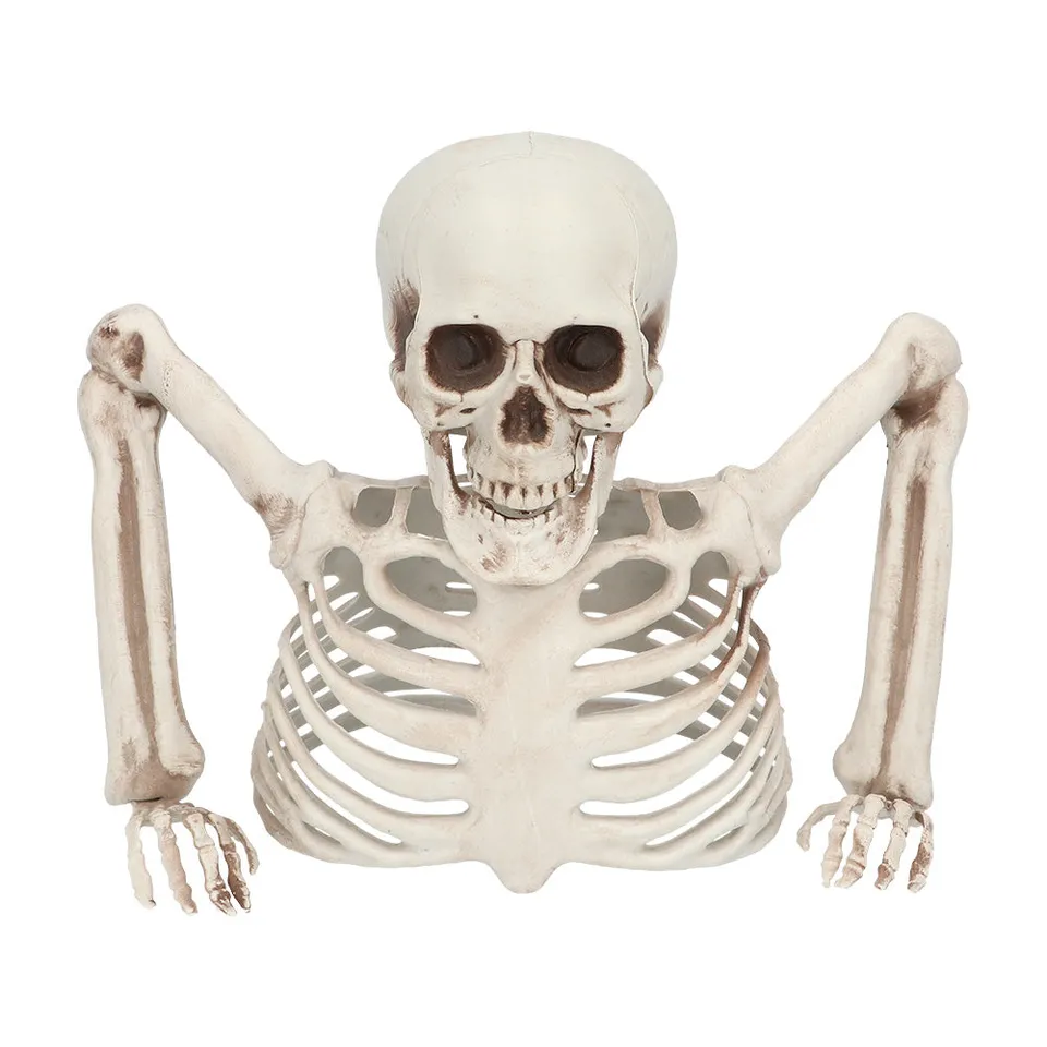 das-kost-mland-dekorationen-skelett-groundbreaker-20-cm-halloween image 1