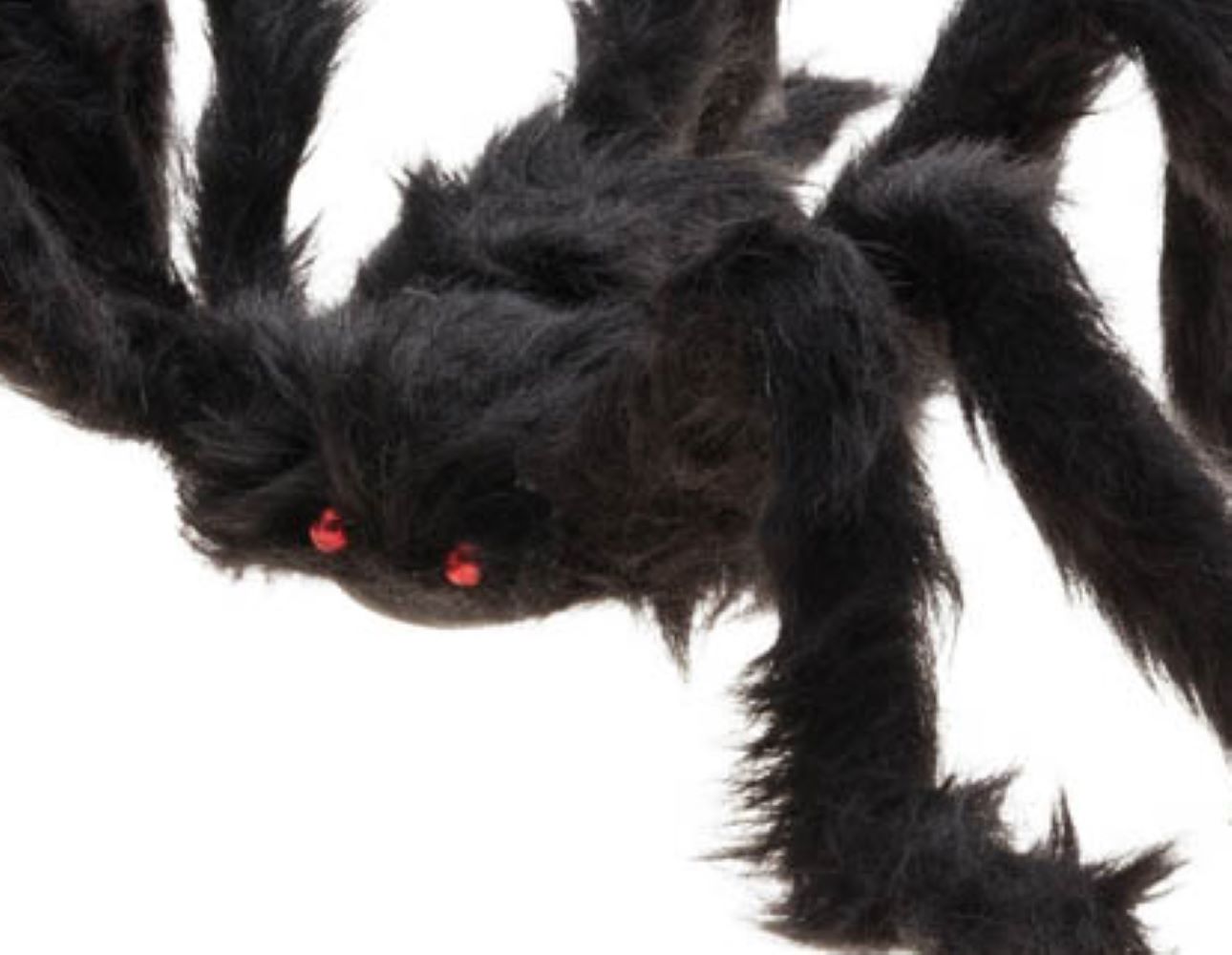 das-kost-mland-haarige-spinne-halloween-deko-50cm image 2