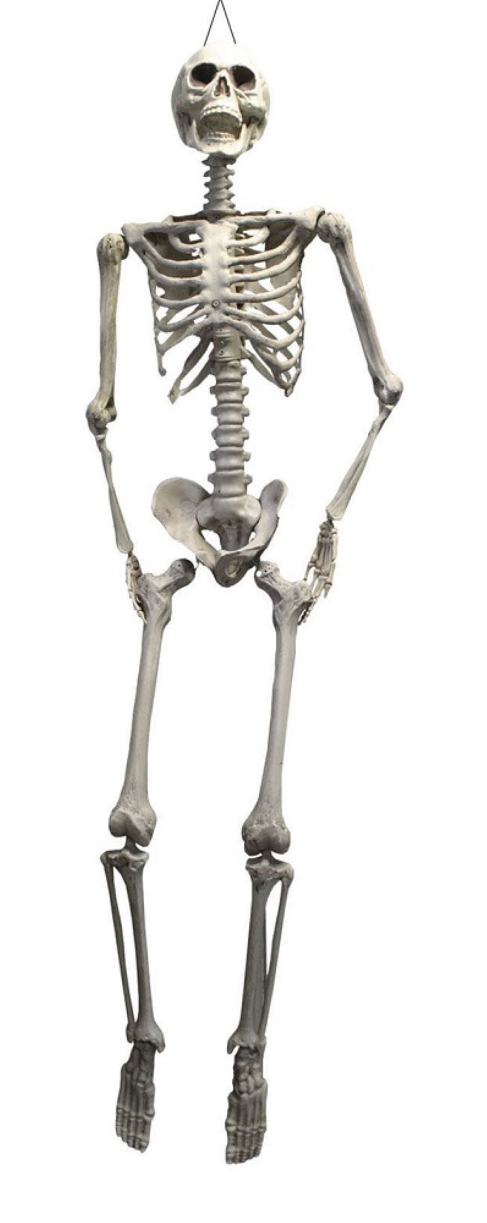 xxl-skelett-otto-h-ngefigur-175cm-wei-beweglich-halloween image 1