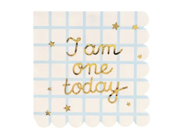 das-kost-mland-servietten-i-am-one-today-blau-12-stk-33x33cm image 1