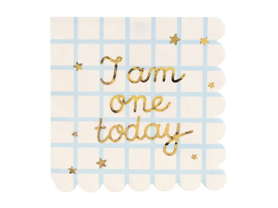 das-kost-mland-servietten-i-am-one-today-blau-12-stk-33x33cm image 1