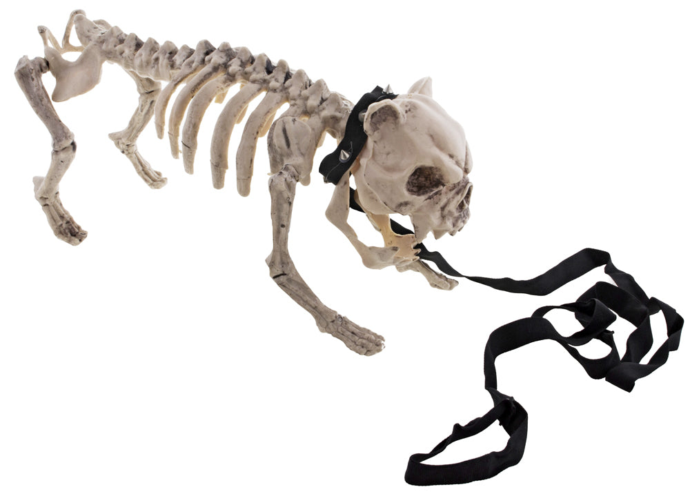 das-kost-mland-skelett-hund-halloween-deko-40x20cm image 1