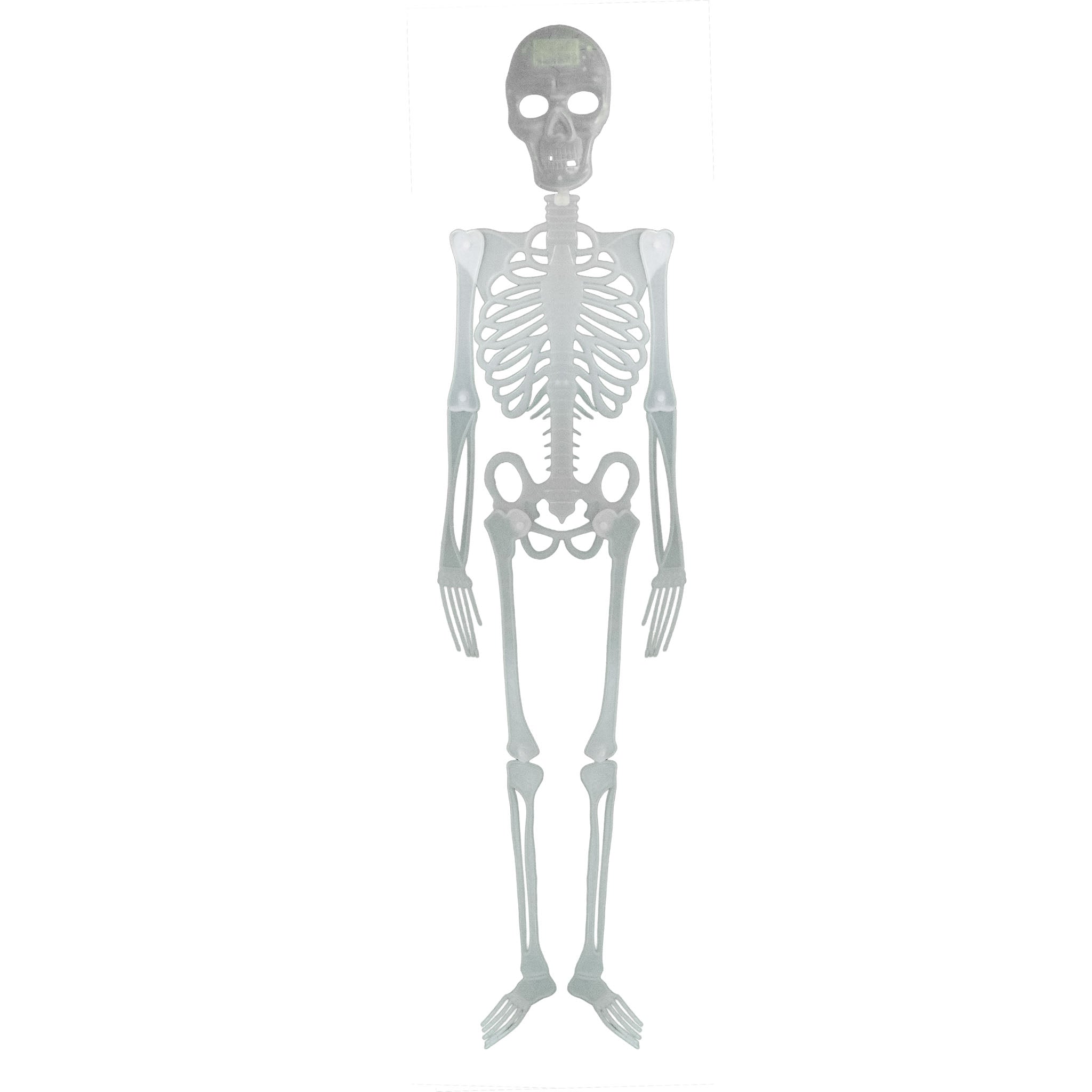 das-kost-mland-skelett-150-cm-halloween-deko-zum-h-ngen-stellen image 1