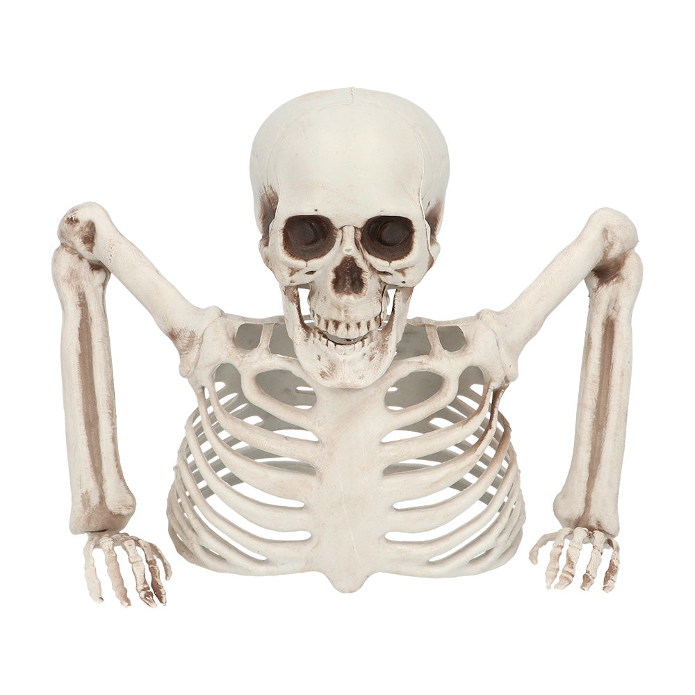 das-kost-mland-dekorationen-skelett-groundbreaker-20-cm-halloween image 1