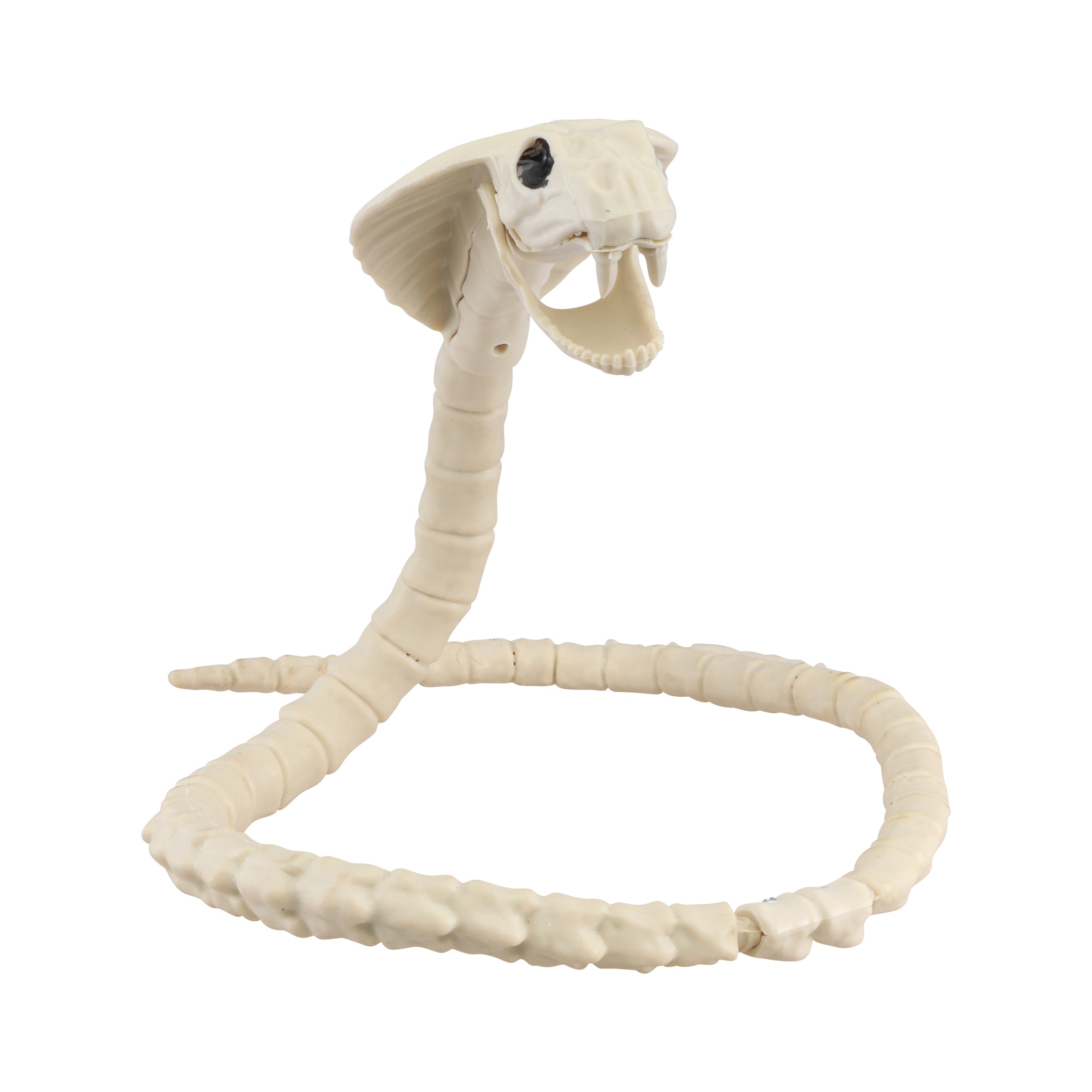 das-kost-mland-cobra-xl-tierskelett-schlange-100-cm image 1
