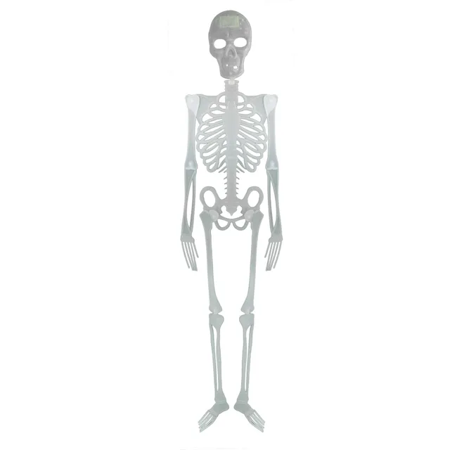 das-kost-mland-skelett-150-cm-halloween-deko-zum-h-ngen-stellen image 1