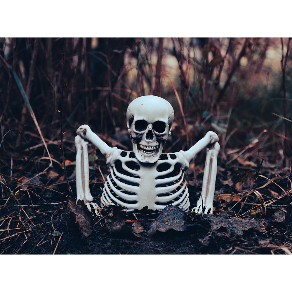 das-kost-mland-dekorationen-skelett-groundbreaker-20-cm-halloween image 4