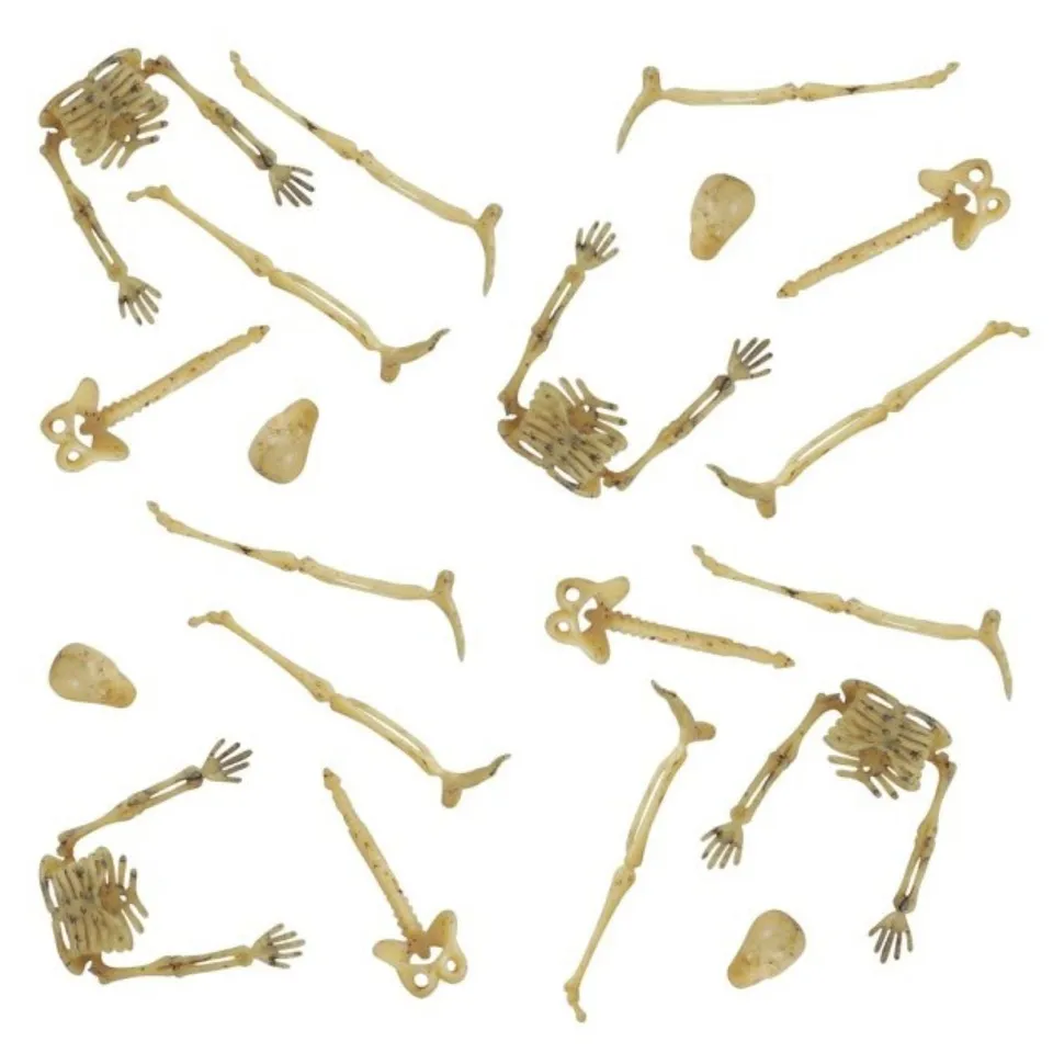 das-kost-mland-mini-skelettteile-20-stk-knochenwei-9-cm image 1