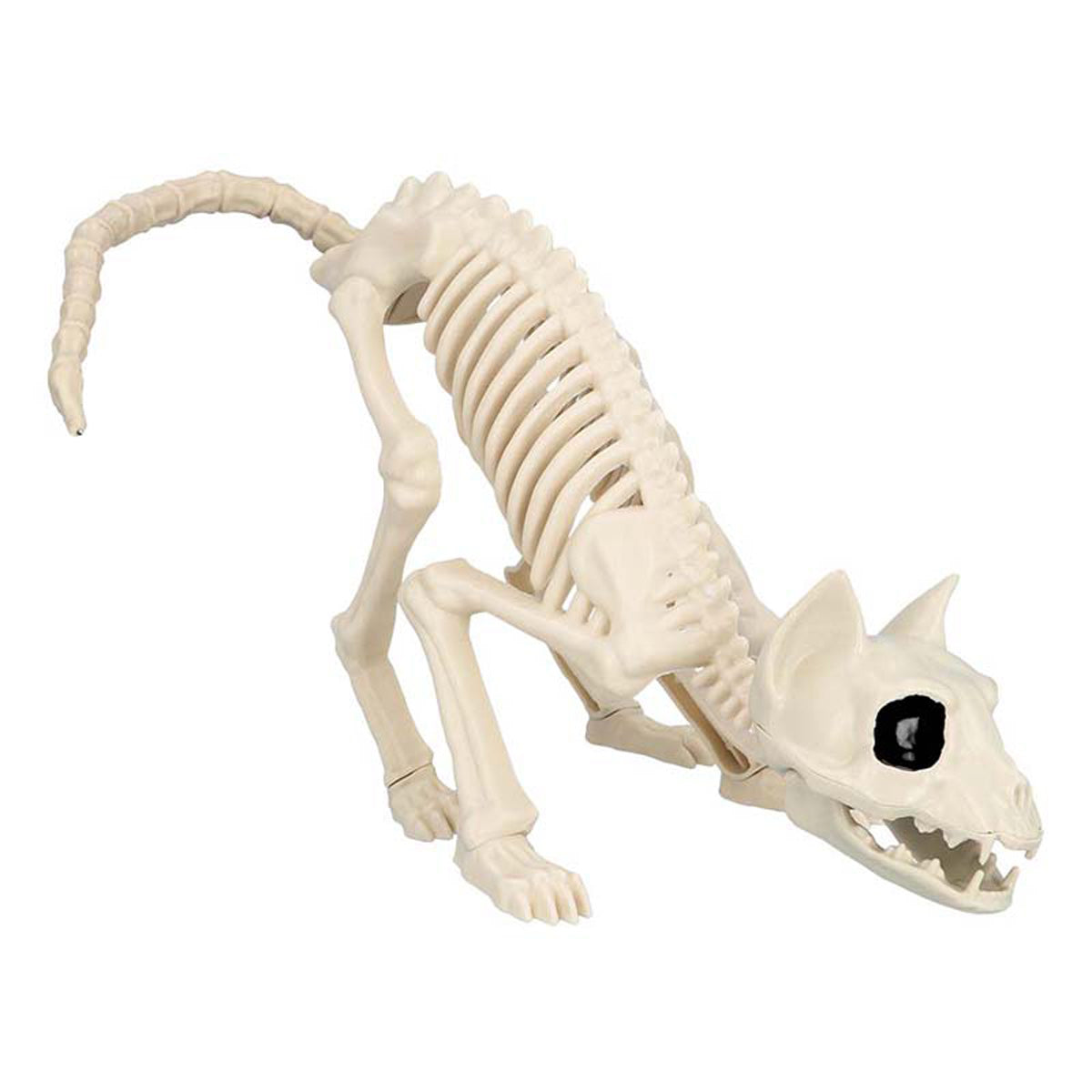 das-kost-mland-skelett-katze-halloween-deko-51-cm image 2