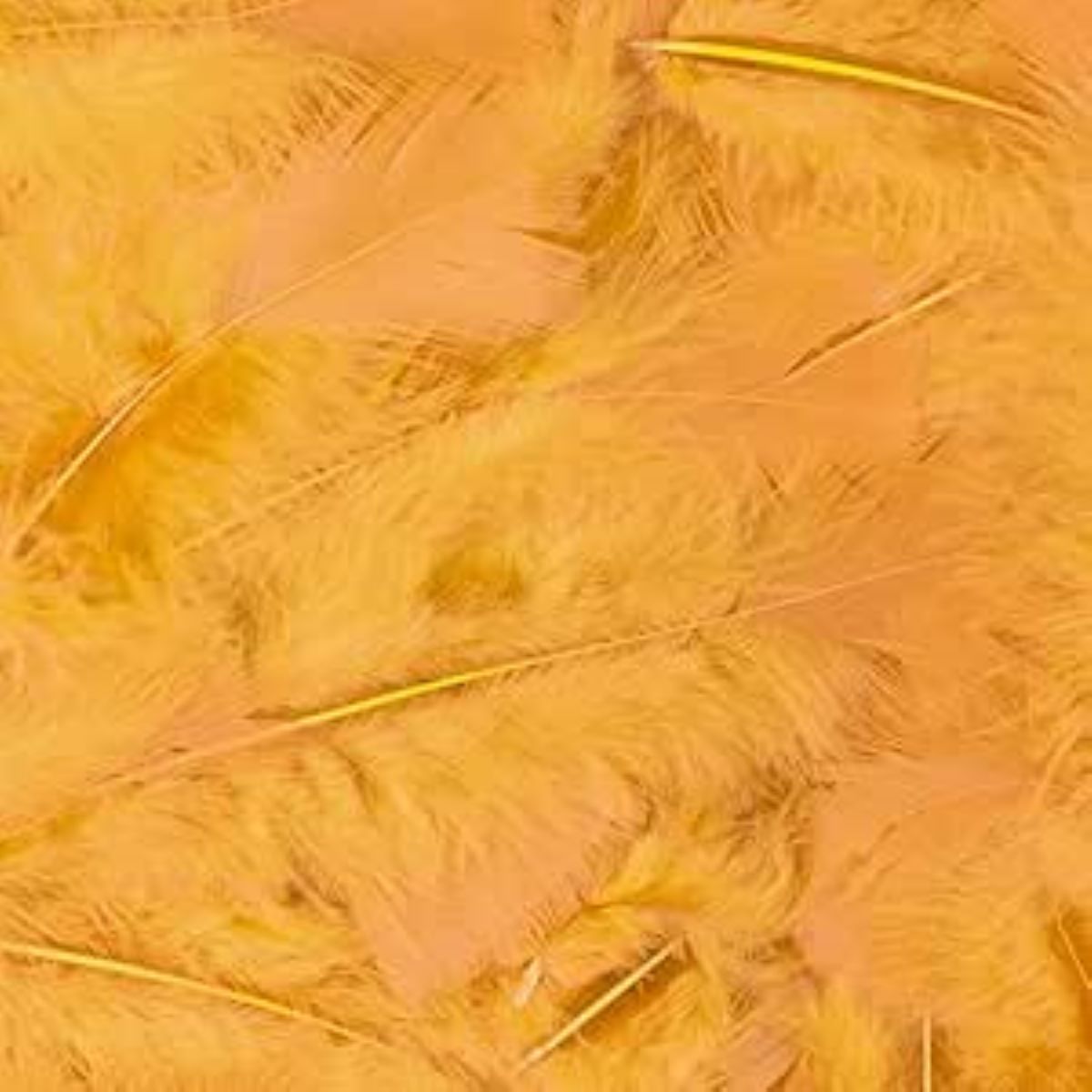 das-kost-mland-federn-25-cm-gelb-200-st-ck image 1