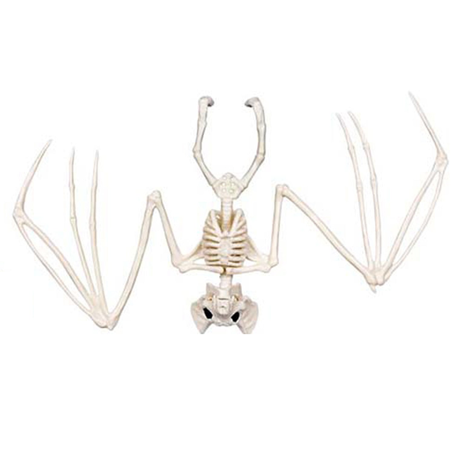 skelett-tiere-5er-set-beige-halloween-deko-kunststoff image 2